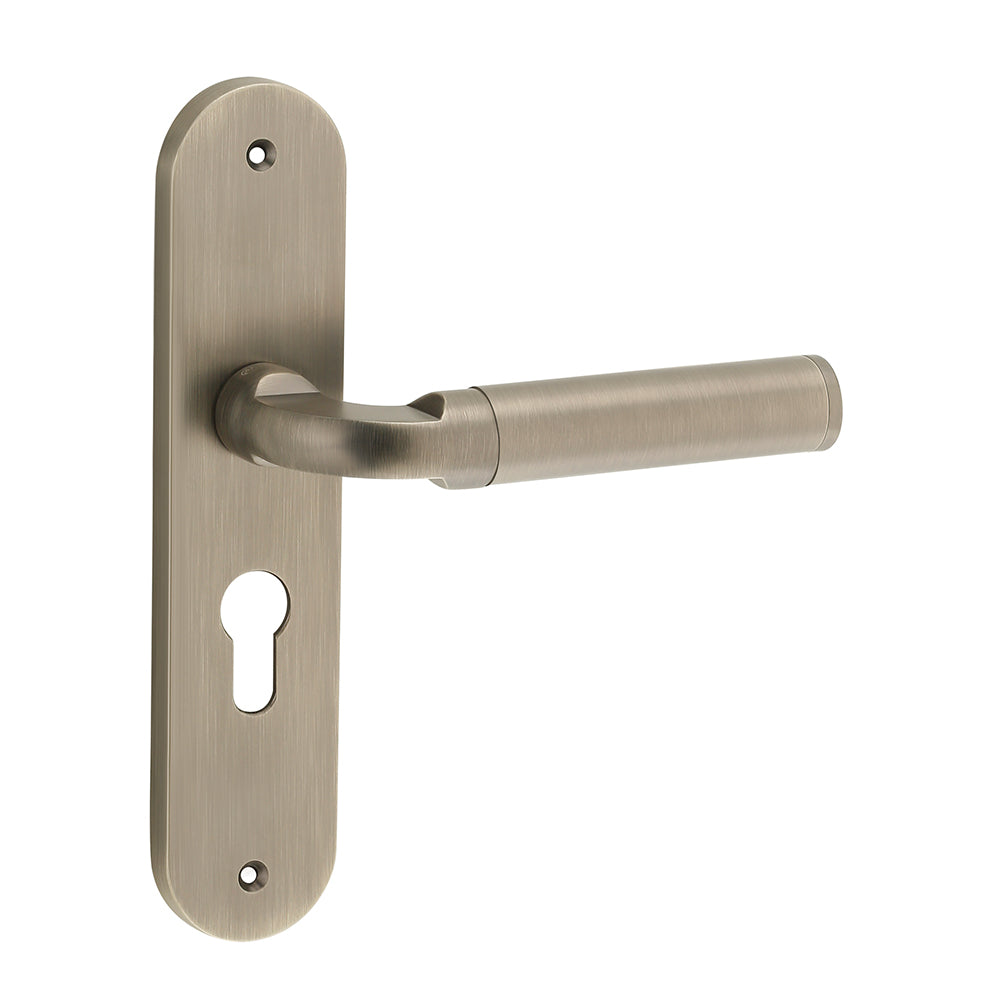 IPSA Cherry Iris Door Handle Series on 8" Plate CYS Lockset with 60mm Coin and Knob Finish- Matte Antique Brass